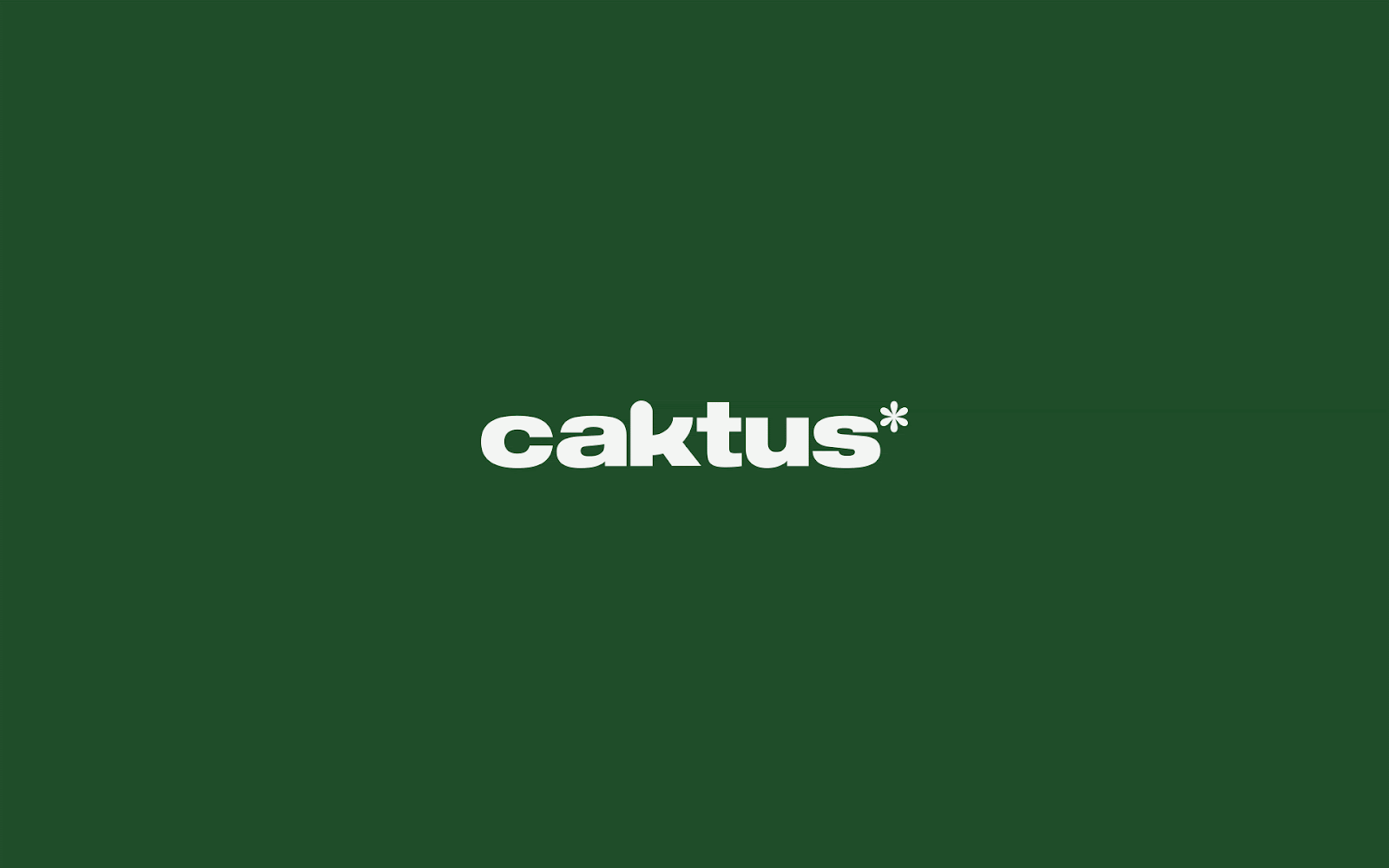 Branding and Visual Identity for Caktus Agency artifacts